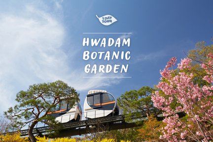 Hwadam Botanic Garden & Nami Island Spring Flowers Day Tour