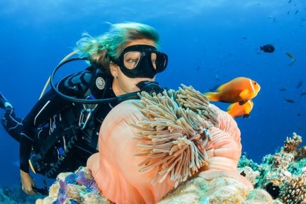 กิจกรรมดำน้ำผจญภัยในเปอร์เฮนเตียนด้วยคอร์สดำน้ำหลักสูตร Open Water Adventure โดย PADI Center