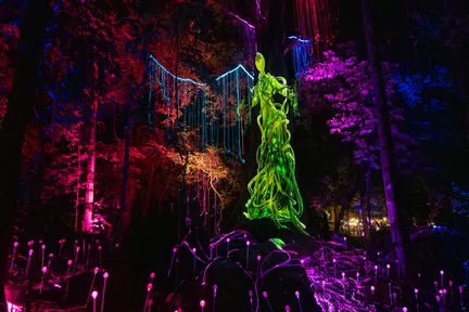 Dream Forest Langkawi Ticket