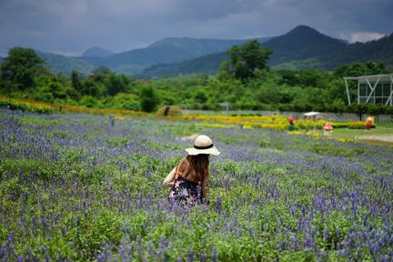 Tour in auto privata preferito di tutti i tempi di Khao Yai da Bangkok di TTD