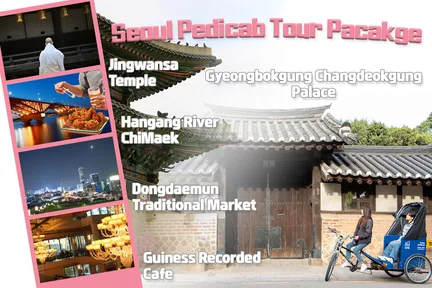 Seoul Pedicab Package Day Tour: Temple & Bakery & Chimaek & Healing