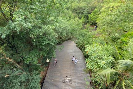 Bang Kachao bike & nature Tour in Bangkok