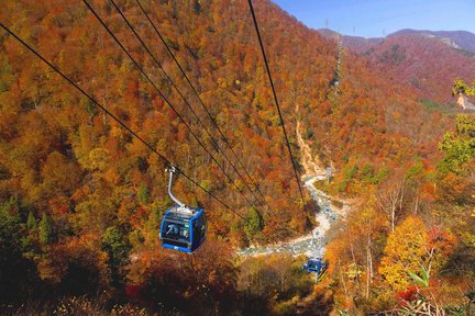 【越後紅葉二日遊】日本最長空中賞楓路線「苗場龍纜車」＆ 新潟紅葉秘境「奧只見湖遊覽船」｜新宿出發