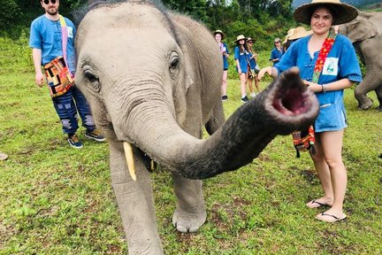 Inthanon Heaven Trail Hike & Elephant Sanctuary di Chiang Mai