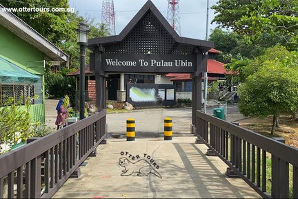 Pranzo a base di pesce a Pulau Ubin e tour di Chek Jawa