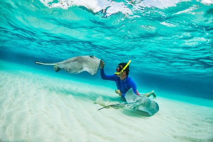 Excursión de un día a Nusa Penida y Nusa Lembongan con esnórquel en Manta