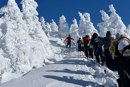 八甲田缆车树冰（Icemonster）徒步旅行