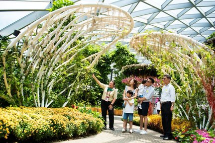 Tour Tham Quan Những Điều Tuyệt Nhất của Sân Bay Jewel Changi