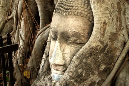 Ayutthaya Historical Temple Tour With Sightseeing Boat