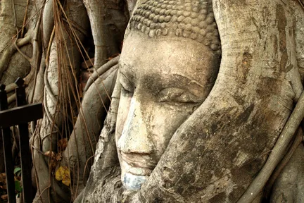 Ayutthaya Historical Temple Tour With Heritage Cruise