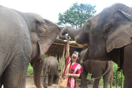 Chiang Mai Kerchor Elefanten-Ökopark-Tour