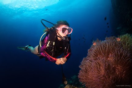 帕岸岛 PADI 五星潜水中心开放水域潜水员课程