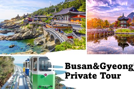 [Private Tour] Busan and Gyeongju Top Attractions Day Tour 