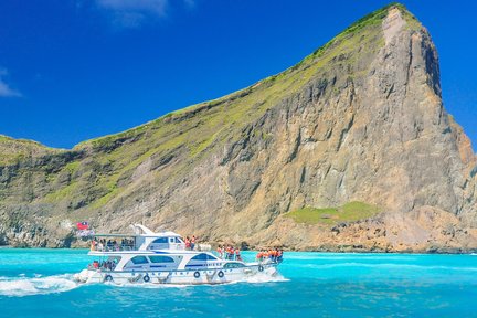 Yilan: excursión de medio día a la isla de Guishan (avistamiento de ballenas)