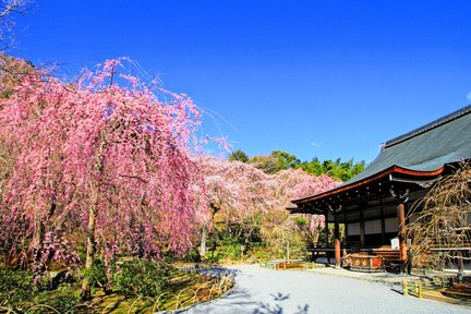 PERFEKTE 1-Tages-Bustour durch Kyoto