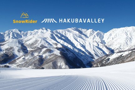 Hakuba | Goryu | Tsugaike Plateau | Cortina | Ski private instructor course (3/6 hours)