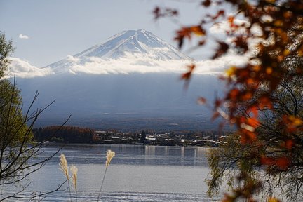 人気の富士山日帰りツアー｜新倉山公園＋氷川時計店＋河口湖大石公園・紅葉回廊限定＋御殿場アウトレット（ショッピング・温泉のいずれかを選択）