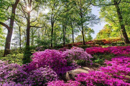 Tiket Botanical Garden di New York