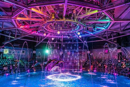  Tokyo : Night Electric Bike Tour with Tokyo Tower and Dolphin Show