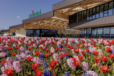 Biglietto per i Giardini Keukenhof con autobus hop-on hop-off da Amsterdam