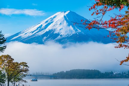 Mt Fuji Day Tour dari Tokyo dengan Opsi Makan Siang