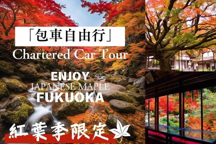 Customized Fukuoka Chartered One-Day Tour: Autumn Leaves Special Collection Kawachi Fujien Garden & Raizan Senyokuji Temple & Mifuneyama Land & Environmental Art Forest