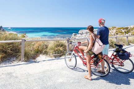 Descubre Rottnest Island Ferry y recorrido en autobús desde Perth o Fremantle