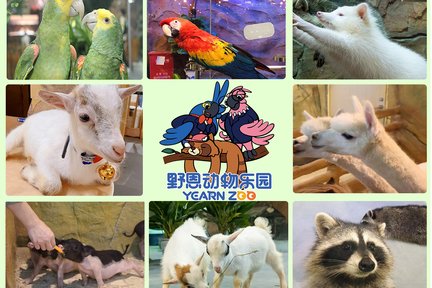 Shenzhen Yeen Animal Park (Cabang Longgang Wanda Plaza)