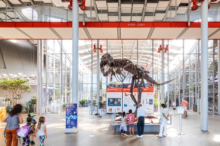 California Academy of Sciences Admission Ticket