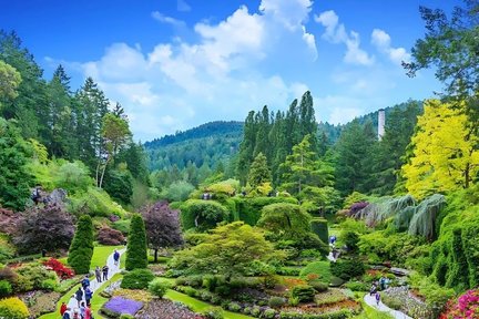 温哥华至维多利亚和布查特花园一日游