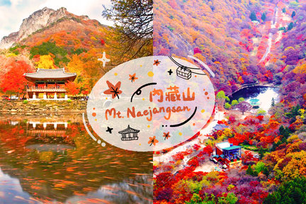 Naejangsan National Park - Autumn Maple One Day Tour from Seoul 