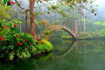 Xitou Nature Education Area Ticket in Nantou