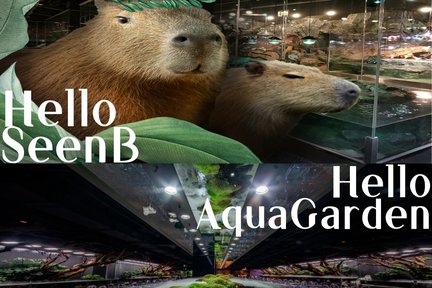 SeenB Indoor Animal with Aqua Garden Park Ticket