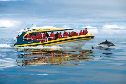 Tasman Island Cruises Tour di un'intera giornata da Hobart