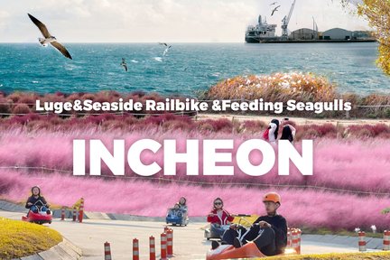 Incheon Luge & Feeding Seagulls & Seaside Railbike Tour from Seoul