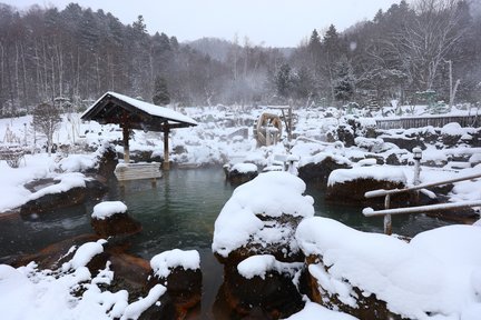 Enjoy snow-covered hot springs with private transport