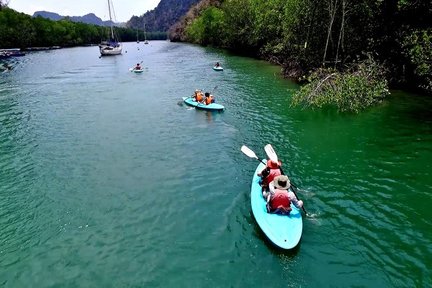 Tour Chèo Thuyền Kayak Trong Rừng Ngập Mặn với Xe Đưa Đón và Ăn Uống ở Langkawi