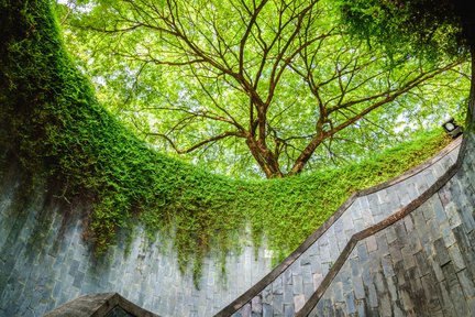 福康寧公園景點行程推薦及交通地址