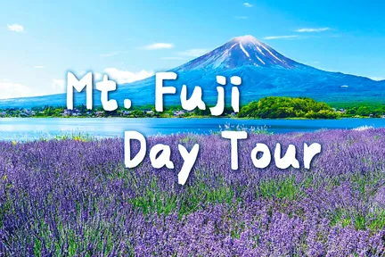 富士山大石公园 x 忍野八海 x 小江户川越 一日游 (新宿出发)