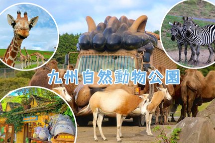 Oita｜Kyushu Zoo, Yufudake, and Yufuin Day Tour｜Depart from Fukuoka