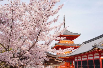 Kyoto｜Lawatan sehari ke Kuil Kiyomizudera, Kuil Kinkakuji dan Arashiyama (Kumpulan Kecil Butik Bertolak dari Osaka dan Kyoto)