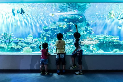 Shinagawa Aquarium Admission Ticket in Tokyo