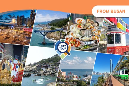 Tour di 1 giorno da visitare a Busan: linea blu Sky Capsule e Beach Train