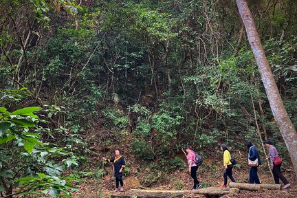 Taitung: Dawu Mountain Pig Cave Secret Tour