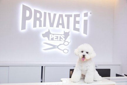 PRIVATE i PETS | Pet Grooming & Spa | Kowloon Tong | Causeway Bay