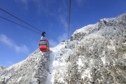 冰雪叢林 & 彩燈裝飾雪景探索之旅（大阪出發）