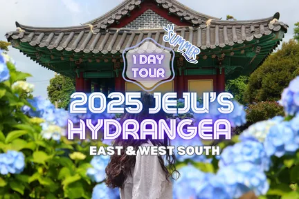2025 Jeju Four Seasons Tour (Summer, Hydrangea Festival)