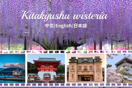 Kitakyushu Fukuoka Wisteria Day Tour｜Kawachi Fuji Garden & Kokura Castle & Mojiko Retro Area & Akama Jingu Shrine (Depart from Fukuoka)