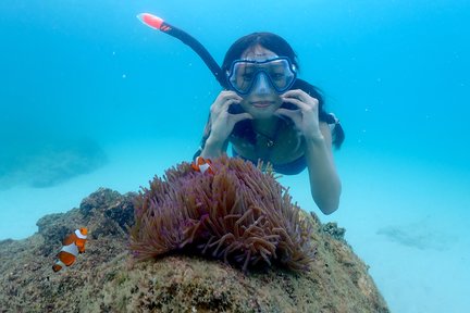 Pattaya: Private Speedboat to Nemo Island with Snorkel & BBQ