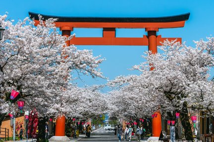 Saga: Yutoku Inari Shrine & Kojo Park & Tosu Outlets 1-day tour (departing from Hakata)